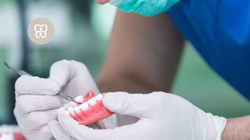 mecánico dental